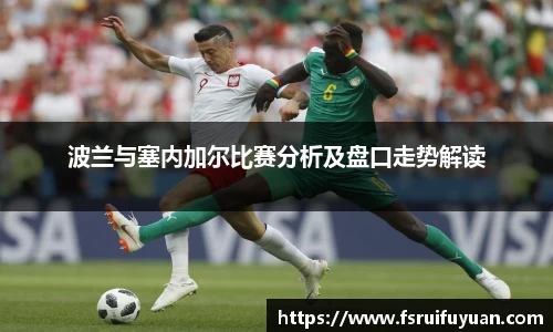 星空·综合体育官网